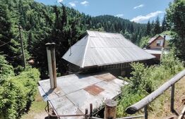 Cabana 5 camere Salard