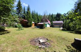 Cabana 4 camere Lunca Bradului