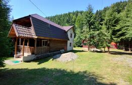Cabana 4 camere Lunca Bradului