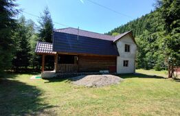 Cabana 4 camere Lunca Bradului