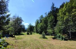 Cabana 4 camere Lunca Bradului