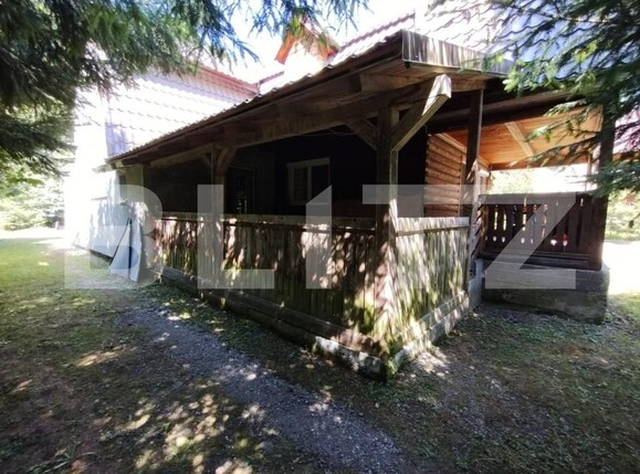 Casa de vânzare 4 camere Lunca Bradului - 172788CV | BLITZ Târgu Mureș | Poza24