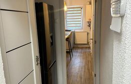 Apartament de vanzare, cu 1 cameră, 29 mp, zona Tudor
