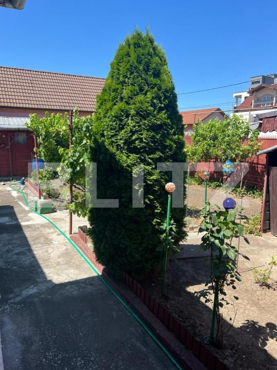 Casa de vânzare 3 camere Semicentral - 173421CV | BLITZ Târgu Mureș | Poza4