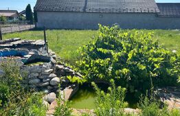 Casă 309 mp, teren 1083 mp, Rușii-Munți