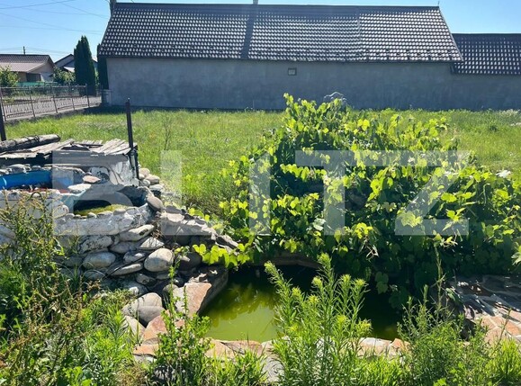 Casa de vânzare 7 camere Rusii-Munti - 173438CV | BLITZ Târgu Mureș | Poza7