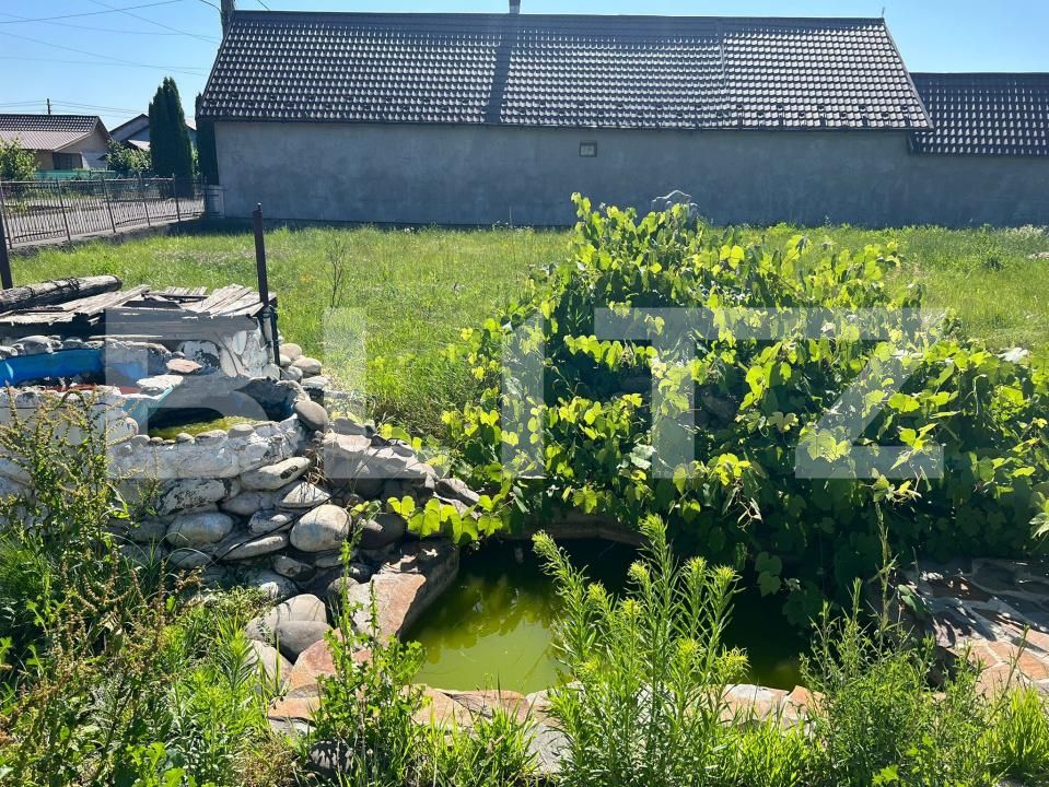 Casa de vânzare 7 camere Rusii-Munti - 173438CV | BLITZ Târgu Mureș | Poza7