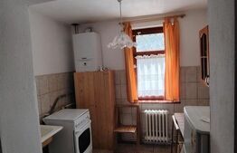 Casa de vacanta cocheta in Sovata Bai