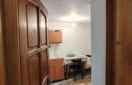 Casa de vacanta cocheta in Sovata Bai