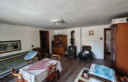 Casa de vacanta cocheta in Sovata Bai