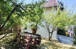 Casa de vacanta cocheta in Sovata Bai