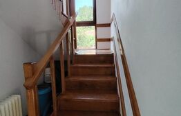 Casa de vacanta cocheta in Sovata Bai