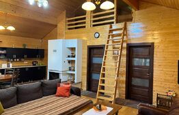 Cabana modernă în Câmpul Cetății – confort și natură în același loc