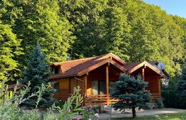 Casa de vânzare 4 camere Voiniceni - 179394CV | BLITZ Târgu Mureș | Poza4