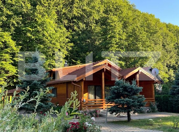 Casa de vânzare 4 camere Campu Cetatii - 173620CV | BLITZ Târgu Mureș | Poza1