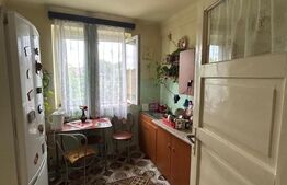 Apartament de vanzare, cu 2 camere, cu gradina, zona semicentrala