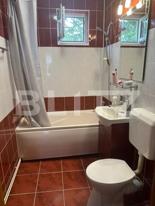Apartament de vânzare 3 camere Dambu Pietros - 173768AV | BLITZ Târgu Mureș | Poza9