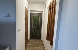 Garsoniera de vanzare, 17 mp, zona Rovinari