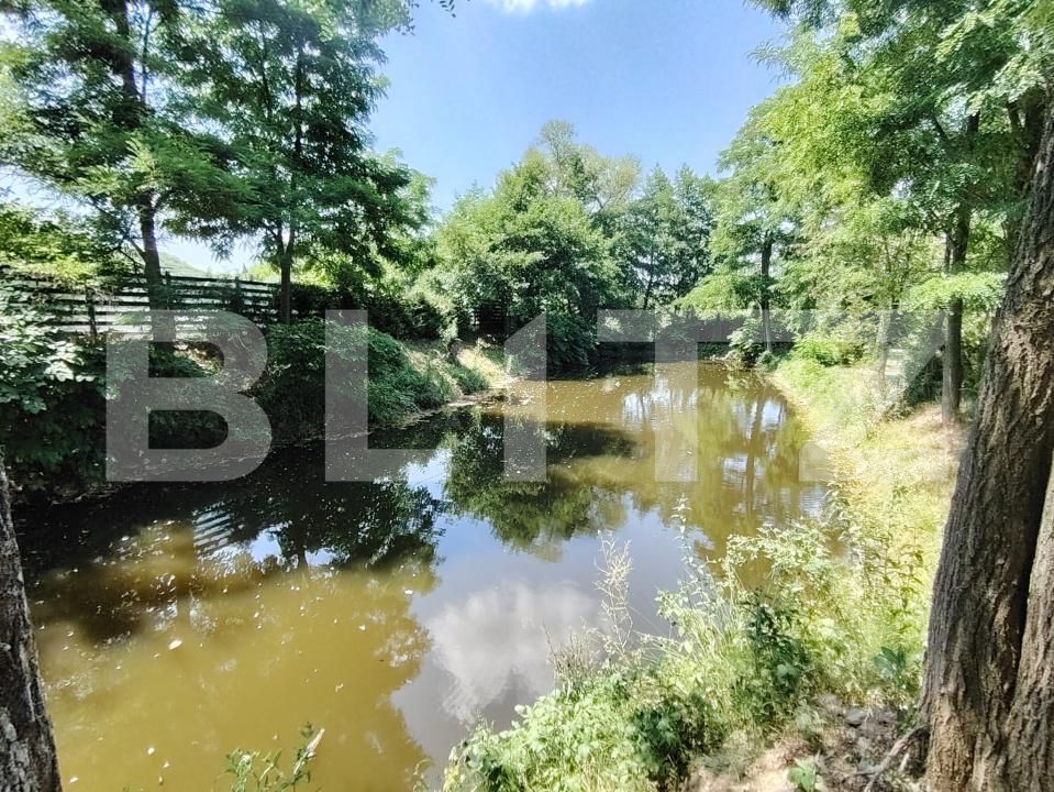 Casa de vânzare 4 camere Eremitu - 173941CV | BLITZ Târgu Mureș | Poza10