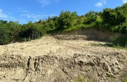 Vând teren 2100 mp, Corunca – zonă superbă cu vedere panoramică!