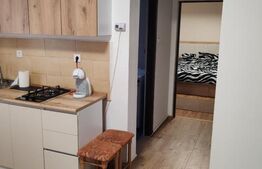 Studio cochet, 1 cameră + living-bucătărie open space, 47 mp, Budiului