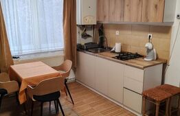 Studio cochet, 1 cameră + living-bucătărie open space, 47 mp, Budiului