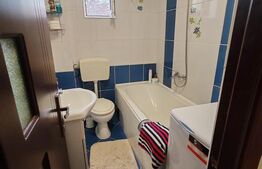 Studio cochet, 1 cameră + living-bucătărie open space, 47 mp, Budiului