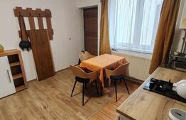 Studio cochet, 1 cameră + living-bucătărie open space, 47 mp, Budiului