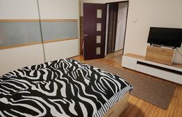 Studio cochet, 1 cameră + living-bucătărie open space, 47 mp, Budiului