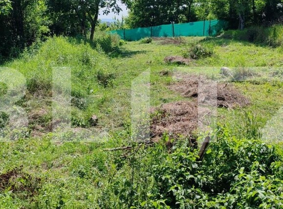 Casa de vânzare 1 camera Platou - 174244CV | BLITZ Târgu Mureș | Poza4