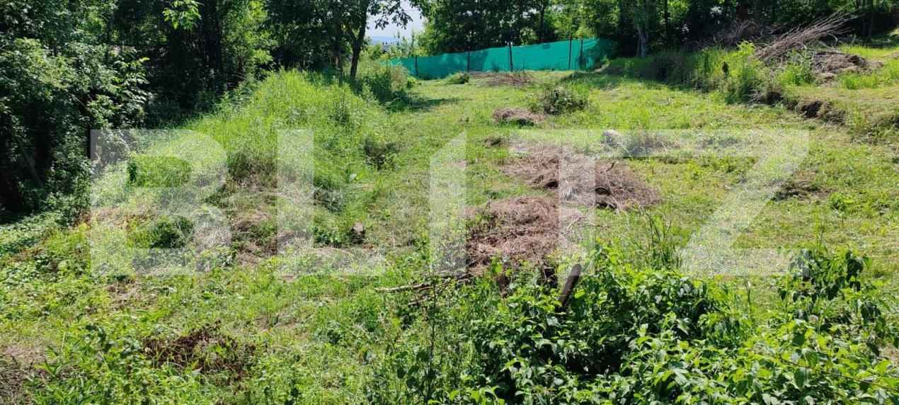 Casa de vânzare 1 camera Platou - 174244CV | BLITZ Târgu Mureș | Poza4