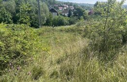 Teren 1400 mp, intravilan – Viile Dealul Mic, zonă liniștită