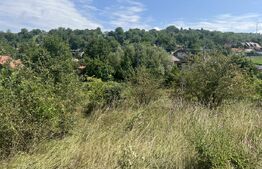 Teren 1400 mp, intravilan – Viile Dealul Mic, zonă liniștită