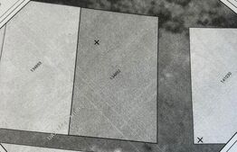 Teren 1400 mp, intravilan – Viile Dealul Mic, zonă liniștită