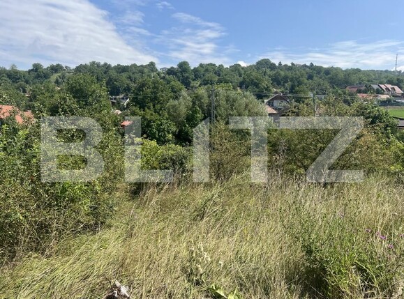 Teren de vânzare Dambu Pietros - 174736TV | BLITZ Târgu Mureș | Poza3