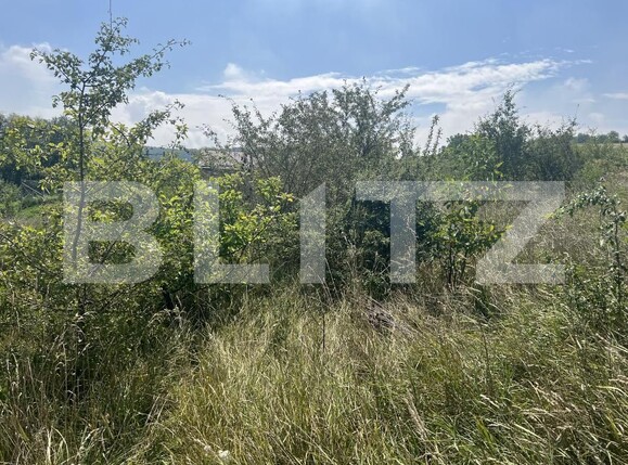 Teren de vânzare Dambu Pietros - 174736TV | BLITZ Târgu Mureș | Poza4