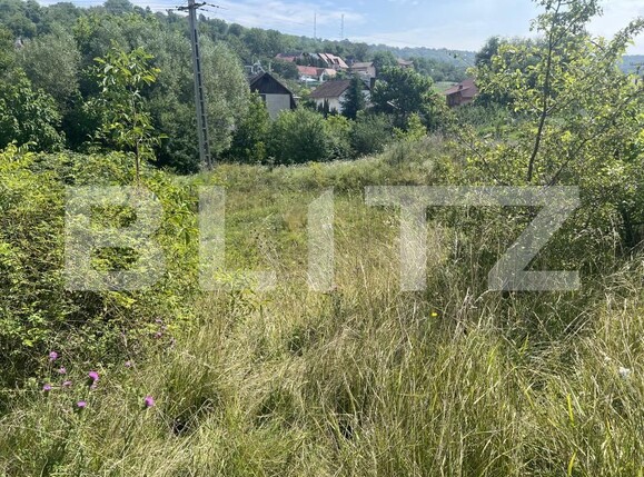 Teren de vânzare Dambu Pietros - 174736TV | BLITZ Târgu Mureș | Poza1