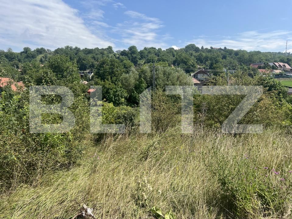 Teren de vânzare Dambu Pietros - 174736TV | BLITZ Târgu Mureș | Poza3