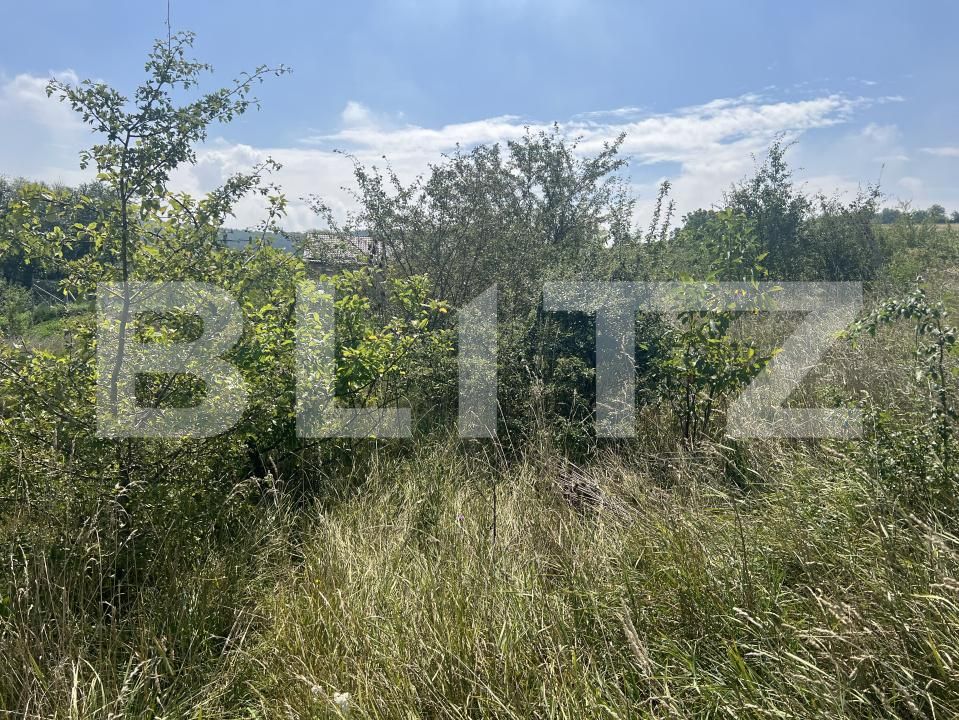 Teren de vânzare Dambu Pietros - 174736TV | BLITZ Târgu Mureș | Poza4