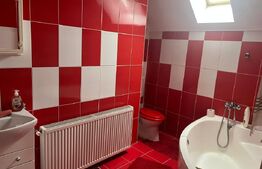 Două case în aceeași curte – Târgu Mureș, teren 1000 mp