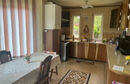 Două case în aceeași curte – Târgu Mureș, teren 1000 mp