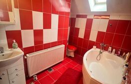 Două case în aceeași curte – Târgu Mureș, teren 1000 mp