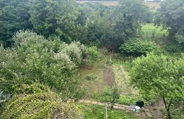 Două case în aceeași curte – Târgu Mureș, teren 1000 mp