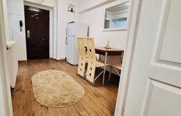 Apartament de vanzare, cu 1 cameră, zona 7 Noiembrie