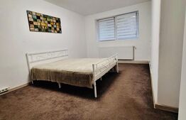 Apartament de vanzare, cu 1 cameră, zona 7 Noiembrie