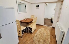 Apartament de vanzare, cu 1 cameră, zona 7 Noiembrie