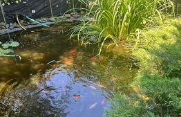 Casă, stil clasic, ultracentral – Teren 1344 mp