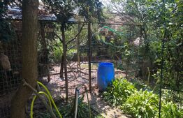 Casă, stil clasic, ultracentral – Teren 1344 mp