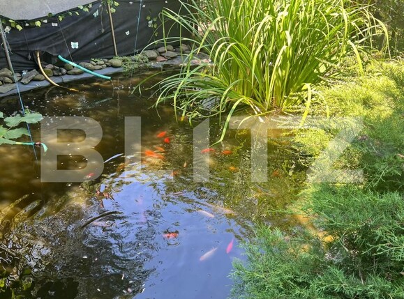 Casa de vânzare 4 camere Ultracentral - 174975CV | BLITZ Târgu Mureș | Poza9