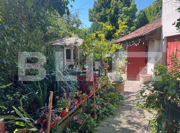 Casa de vânzare 4 camere Ultracentral - 174975CV | BLITZ Târgu Mureș | Poza3